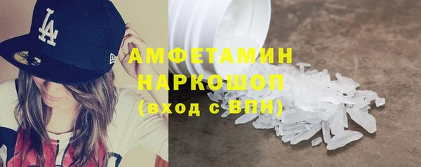 молекула духа Богородицк