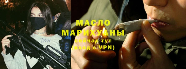 молекула духа Богородицк