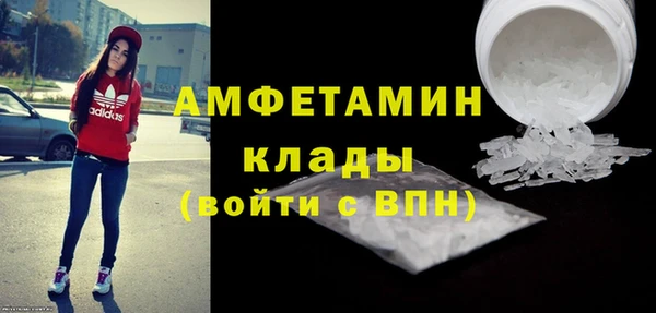 молекула духа Богородицк