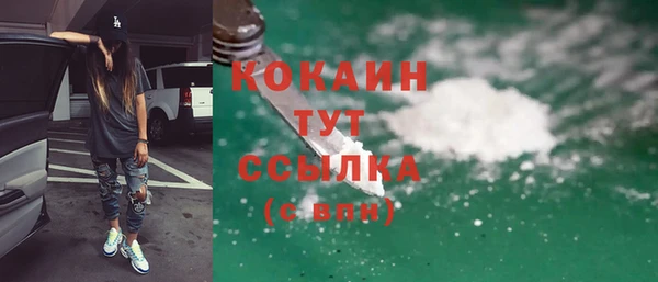 молекула духа Богородицк