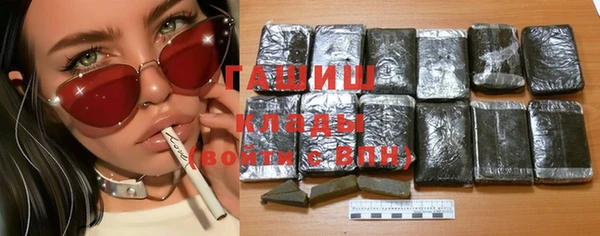 молекула духа Богородицк