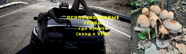 молекула духа Богородицк