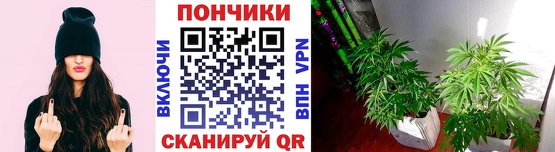 Канабис марихуана  Купить закладки  Мантурово 